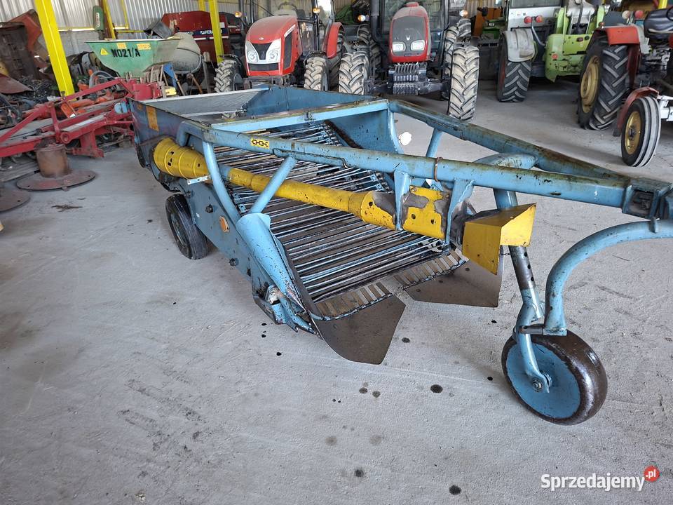 Kopaczka elewatorowa dwurzędowa lubelskie Radzyń Podlaski