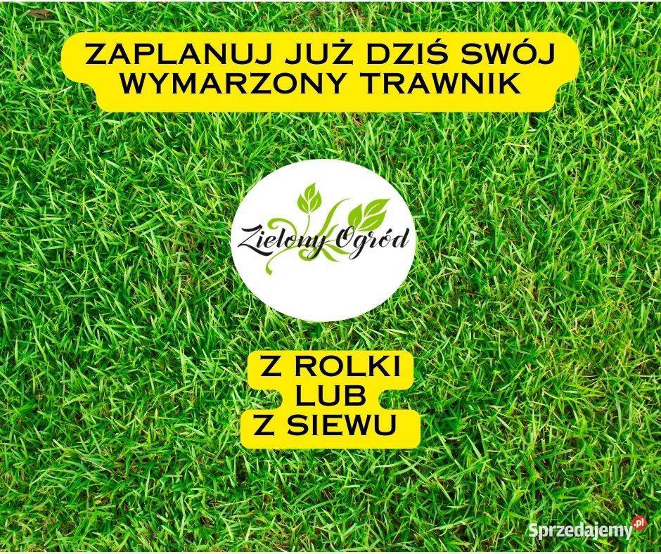 Trawnik Poznań z rolki z siewu ogród nawadnianie wielkopolskie