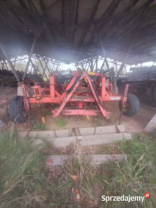 Głębosz talerzówka Sompolno