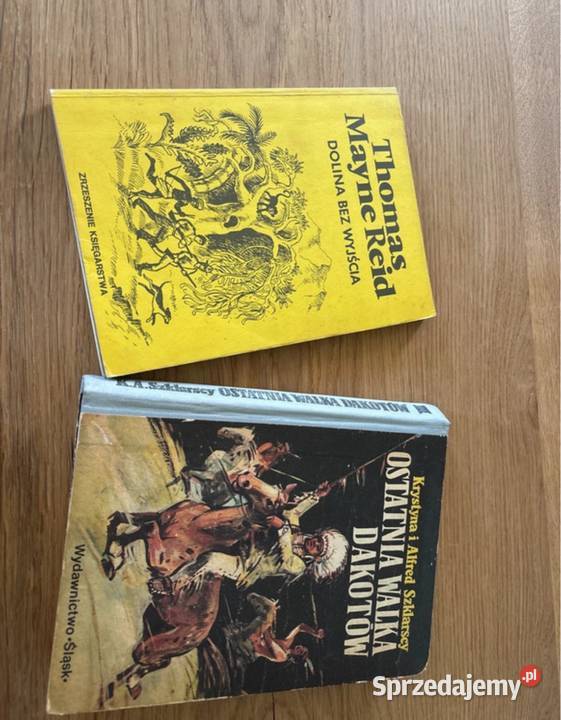 Ostatnia walka dakotów i dolina bez wyjścia Książki dla dzieci śląskie Katowice