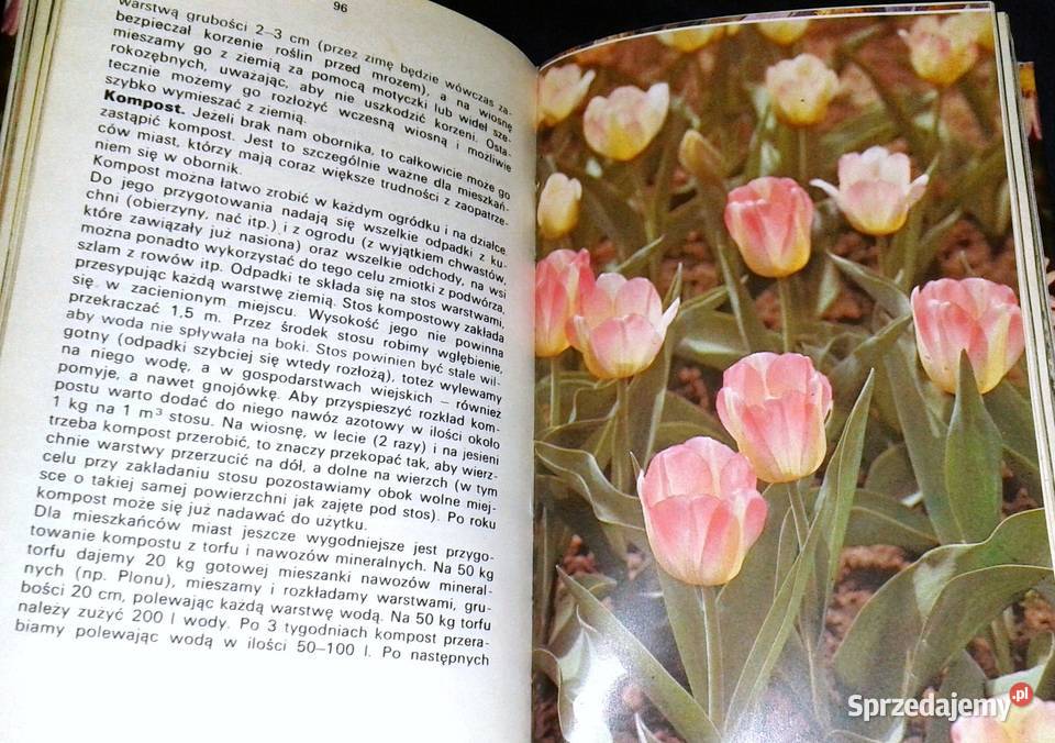 Kwiaty w ogródku Izabela Kiljańska Chełm