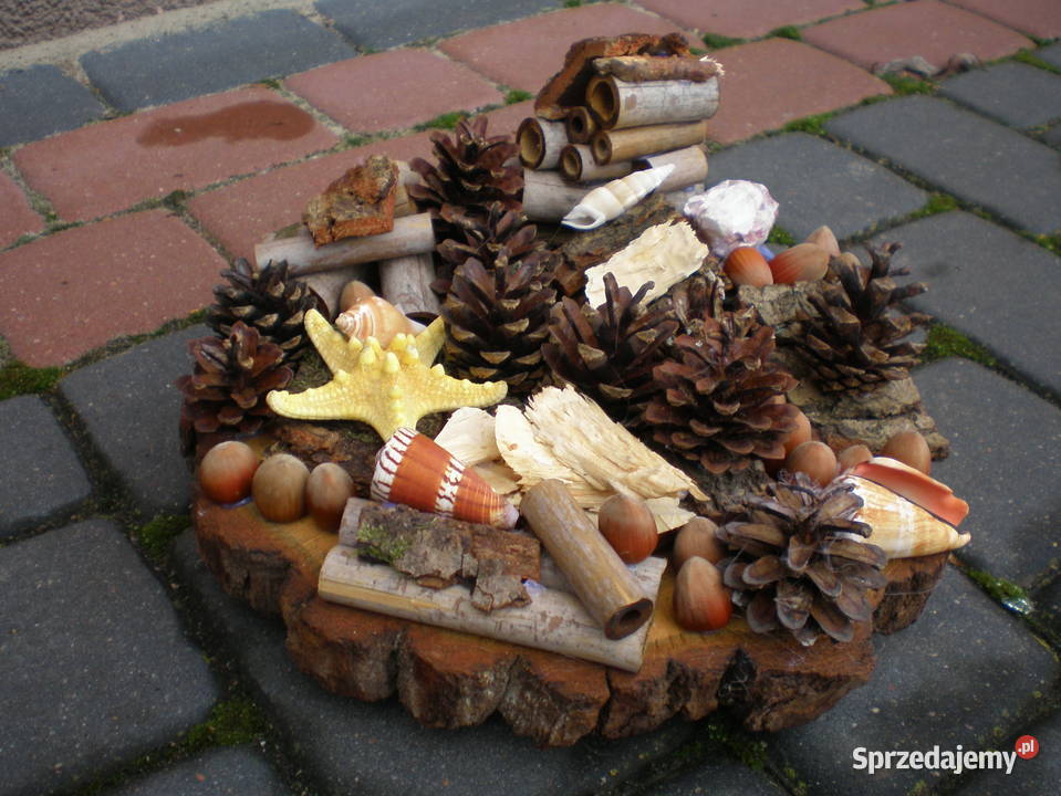 ozdobadekoracja na plastrze dębu Siedlce