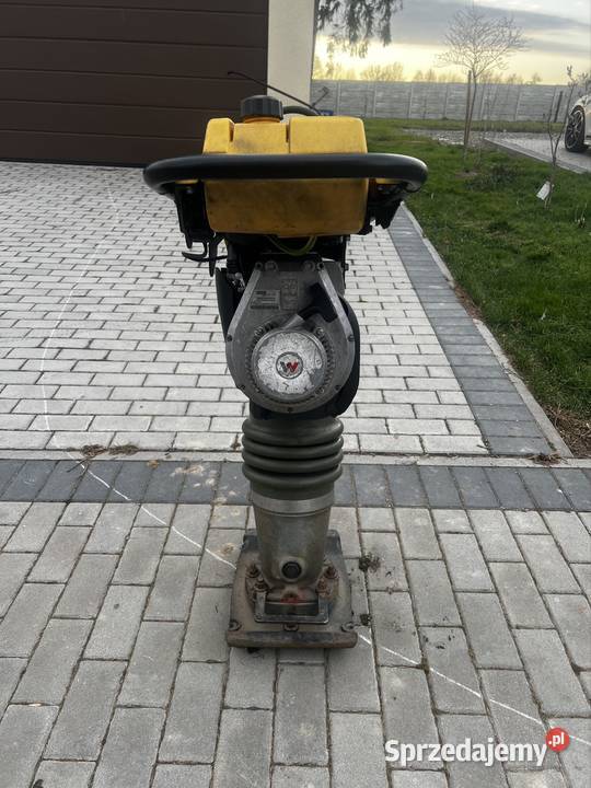 Wacker neuson bs602 ubijak skoczek