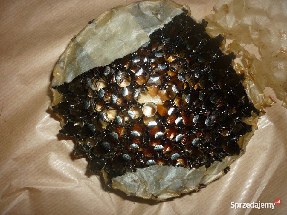 RkmD taśma amunicyjna 762 X39