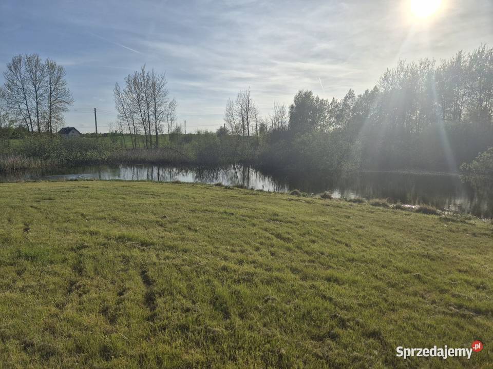Łowisko prywatne bagno z rybami skrzydłowo 83404 Wynajem