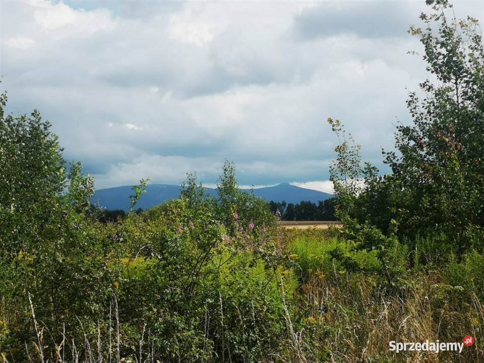 Działka budowlana w Kromnowie gm Stara Kamienica utwardzona Kromnów