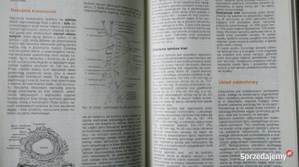 Wróćmy do ziół Klimuszko Domowy poradnik