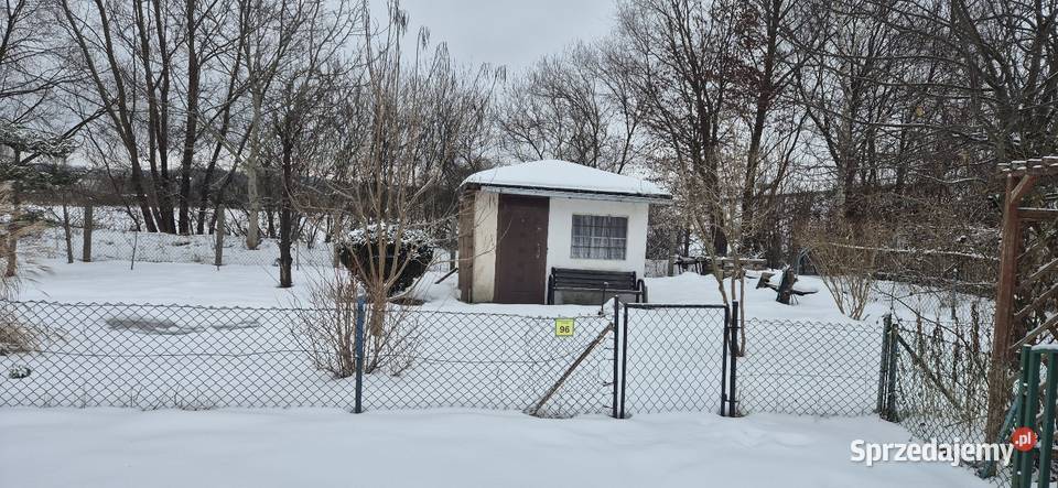 Prawo do dzierżawy działki Elbląg