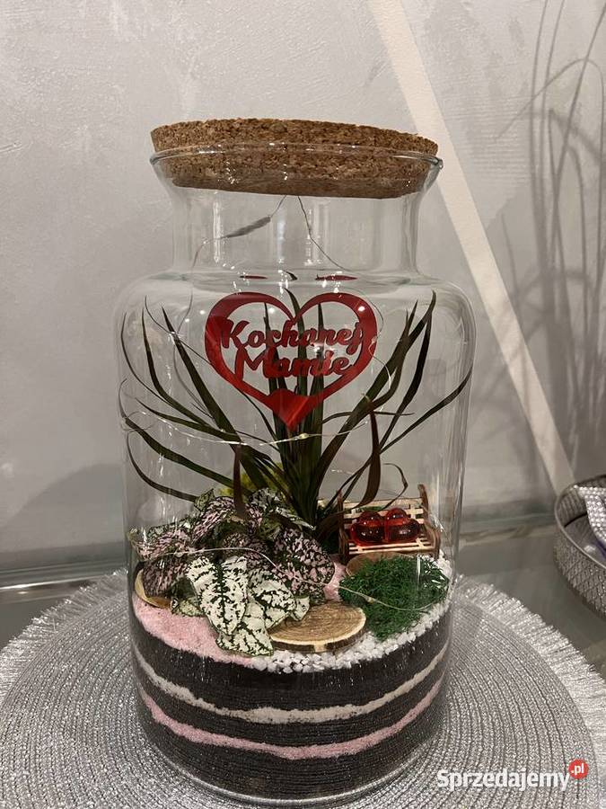 Las w szkle GOTOWA KOMPOZYCJA PREZENT Z Oborniki Śląskie