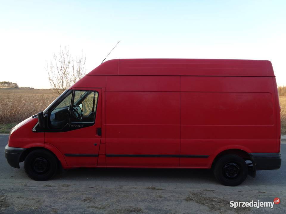 Super Transit z Kwiaciarni dolnośląskie Trzebnica