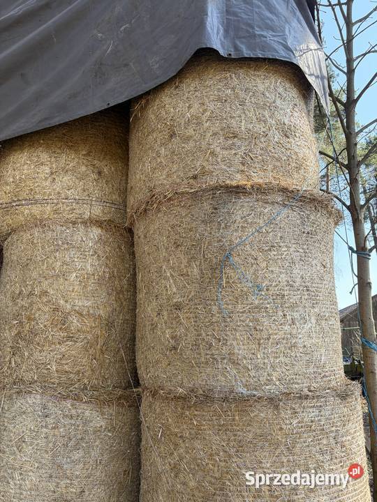 Sprzedam słomę pszennaowsianą