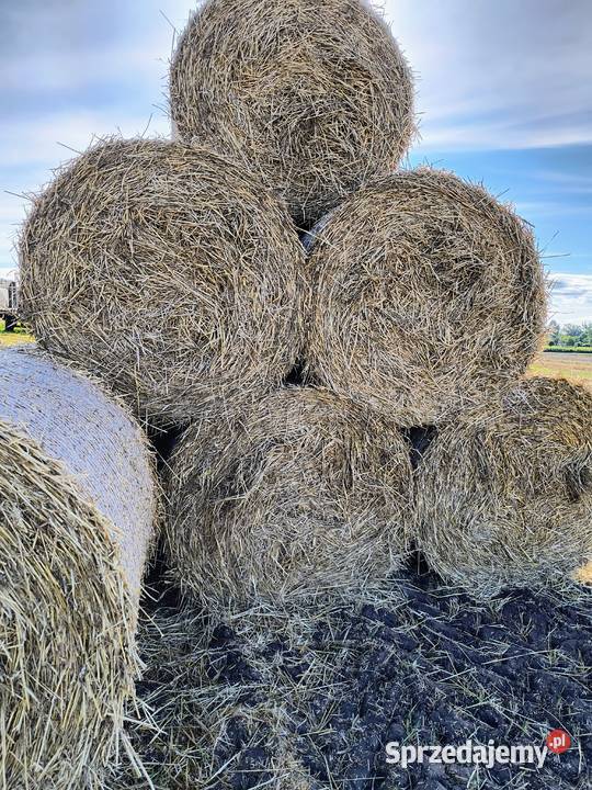 Sprzedam słomę pszenną Modlibórz