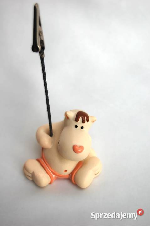 Klips na zdjęcie pocztówkę hipopotam figurka lubelskie Lublin