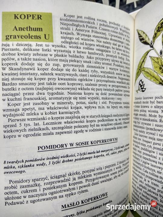 Przyprawy z całego świata książki antykwariat Warszawa