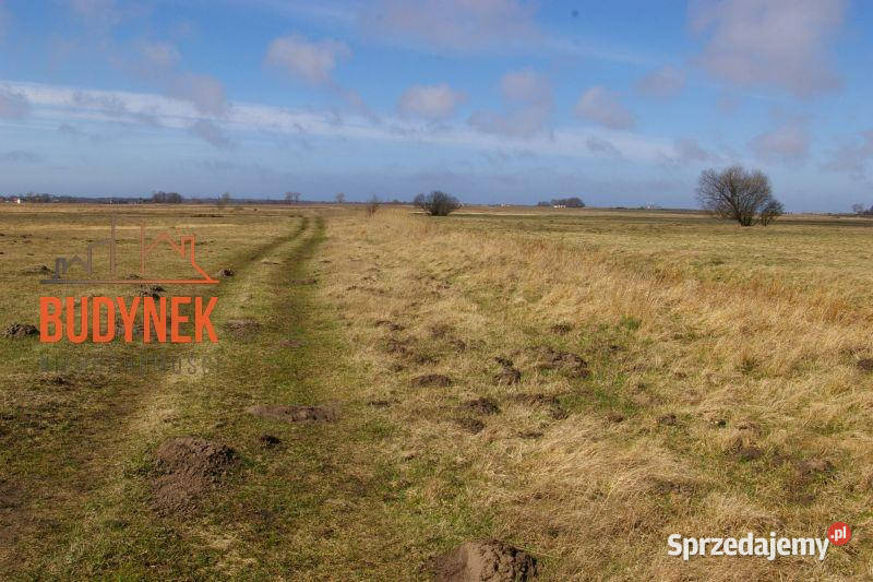 Działka rolna Domasławice 95m