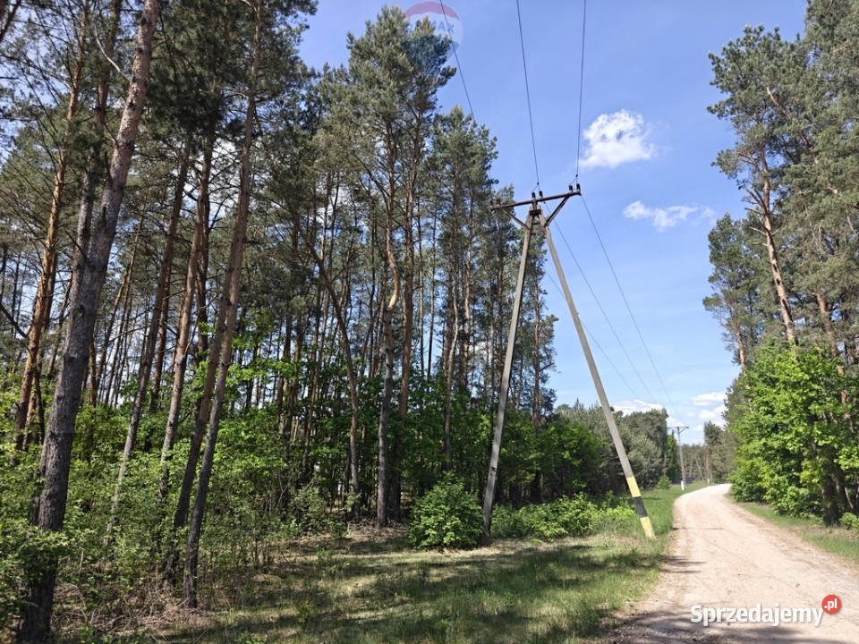 Krzyżówkaurokliwa działka z potencjałem utwardzona Krzyżówka