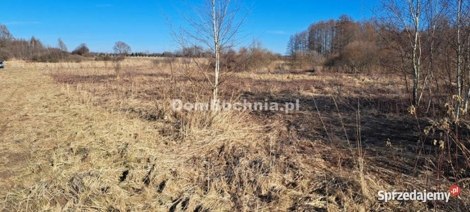 Działka Borek 4572m2 47m