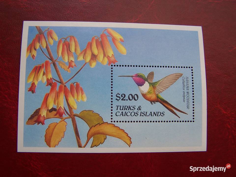 Turks Caicos 1990 MNH Fauna Ptaki Koliber Tychy