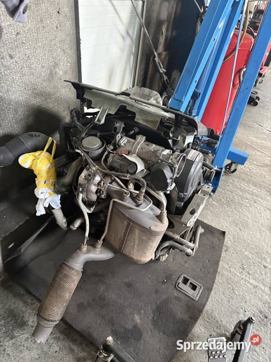 Silnik 19tdi 90 tourana Pabianice
