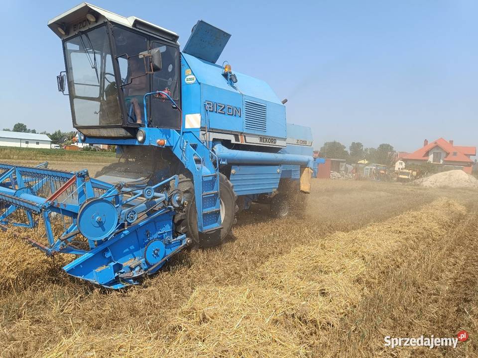 Bizon Z058 rekord sieczkarnia stół do rzepaku Zbożowe Strzeszkowice Duże