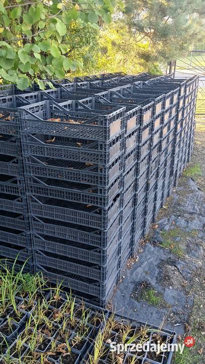 Skrzynki plastikowe 503012 400 Łask