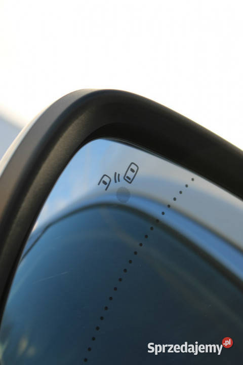 Renault Koleos 20 190HP Initiale Paris 4WD Skóra Warszawa