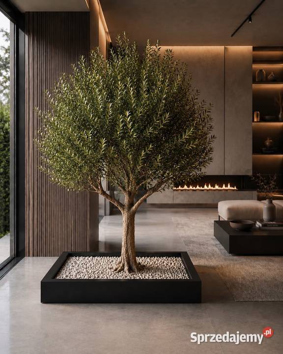 Donica do bonsai prostokątna 100x70x10 stalowa Golkowice