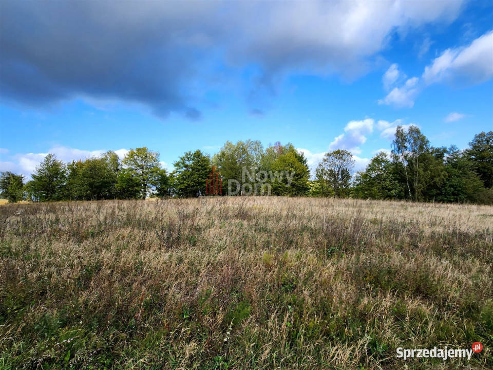 Sprzedaż gruntu 3001m2 Rydzewo warmińsko-mazurskie sprzedam
