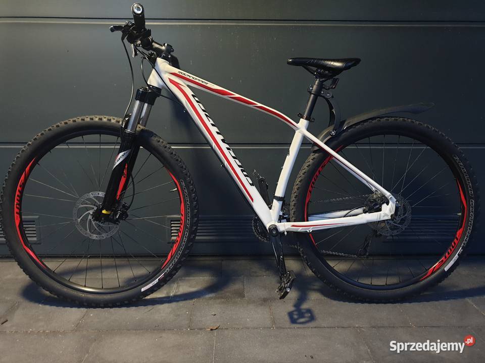 Specialized Rockhopper Comp Rama M koło 29 Rumia