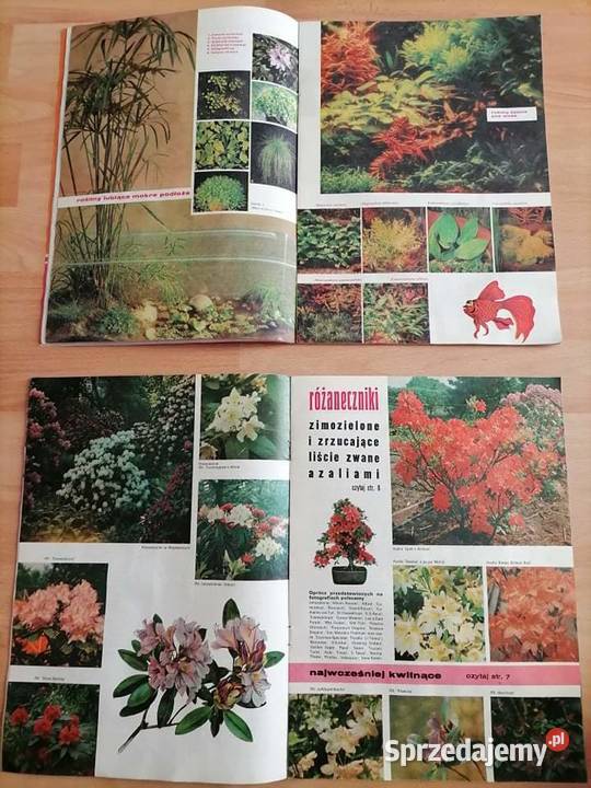 Kwiaty Czasopismo Kwartalnik 1989 PRL dolnośląskie Wałbrzych