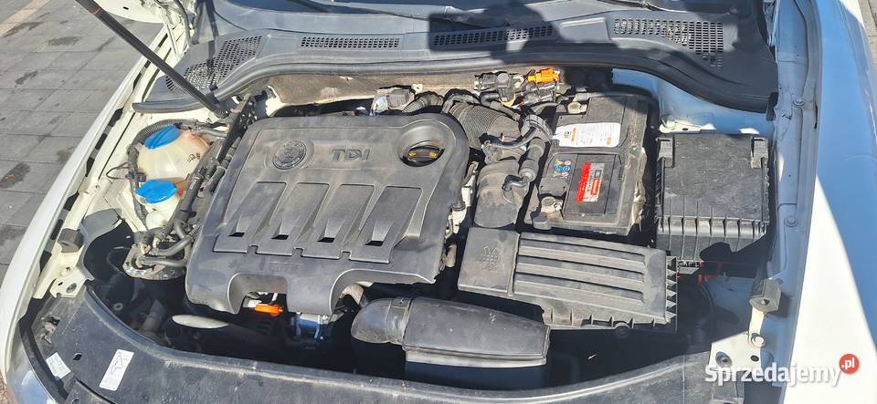 Skoda Superb II Wąsosz