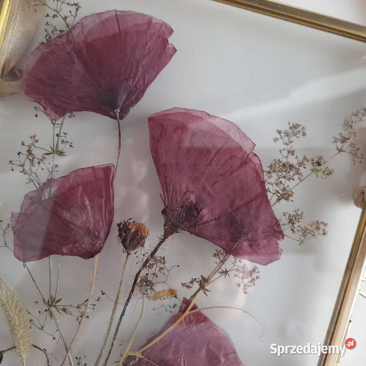 Obraz Kwiatowy Kompozycja Wspomnienie lata Maki Rotmanka