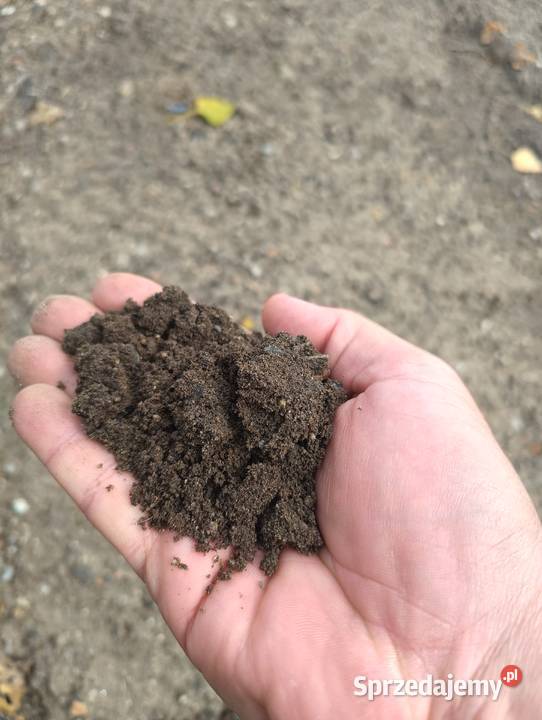 Ziemia sypka przesiana transport Wrocław