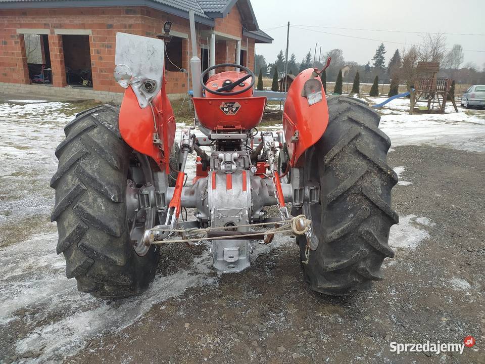 Ferguson M F 65 Łubno