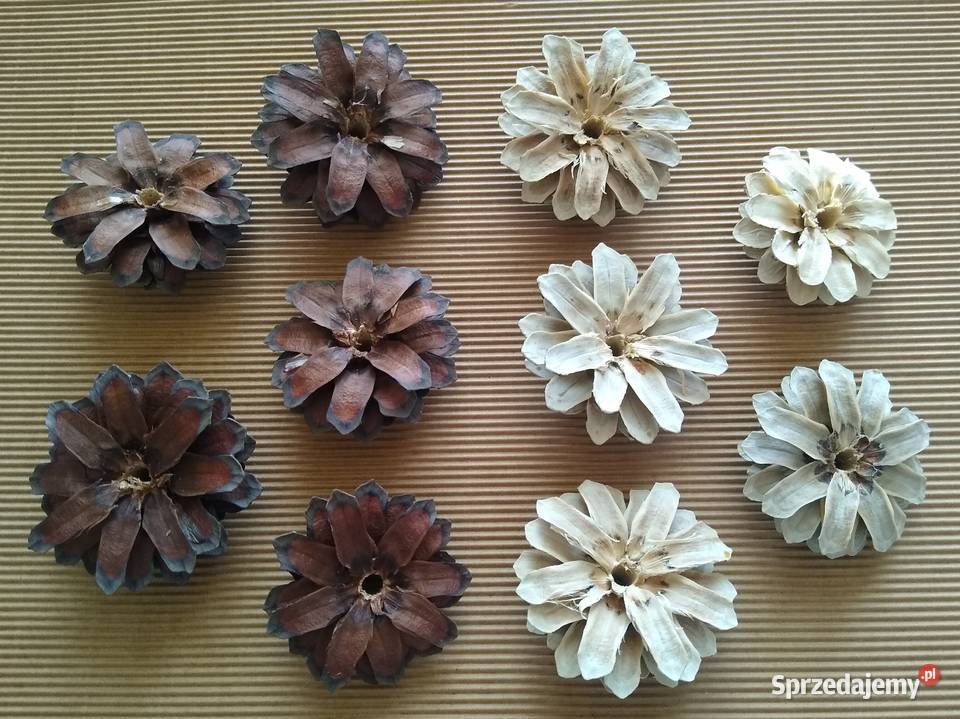 Szyszka Szyszki Kwiat Decoupage Natura Zestaw 10 Gdańsk