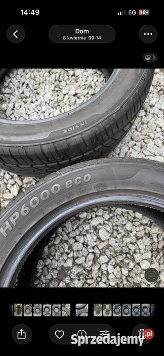 Opony letnie Zeetex 2454518 2022 7mm bieżnika Krępiec