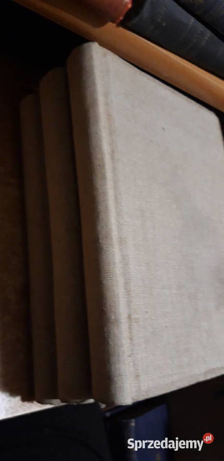 Zarys Dziejów Malarstwa13 Narkiewicz