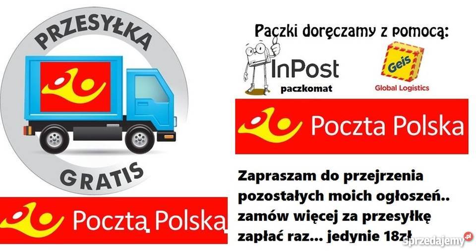 Spodnie plażowe siateczka Alexa Classic XL Zamość