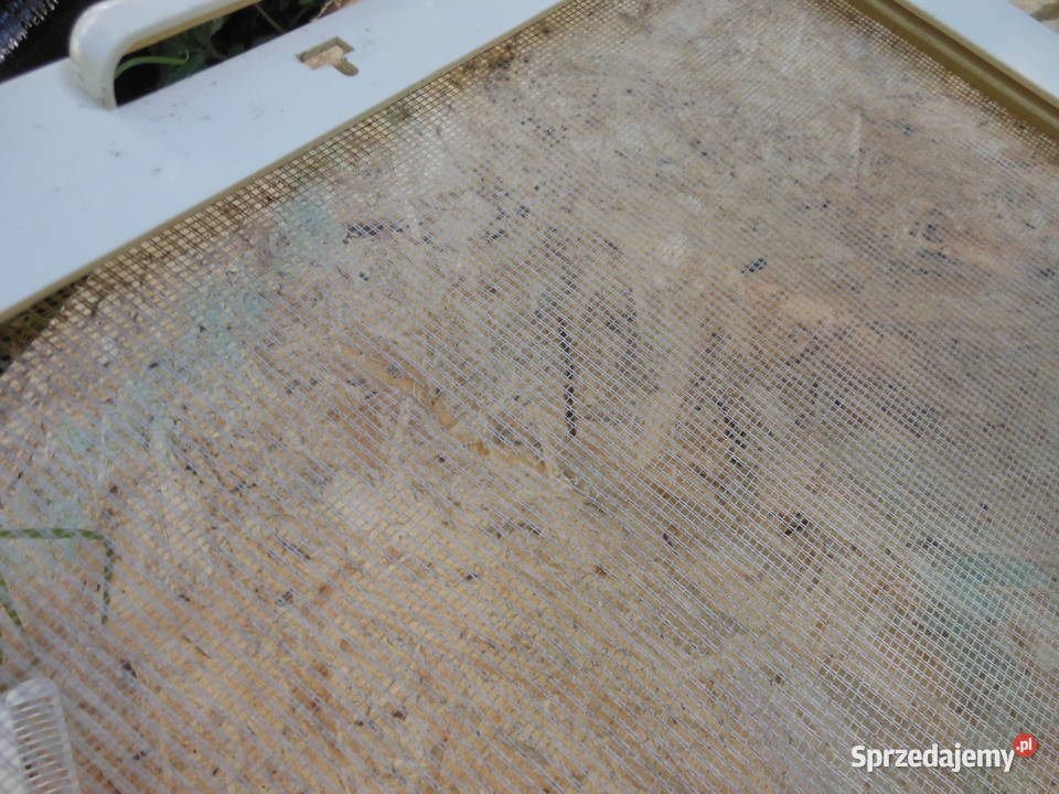 Okno dachowe szyberdach 40x40 przyczepa kujawsko-pomorskie Toruń