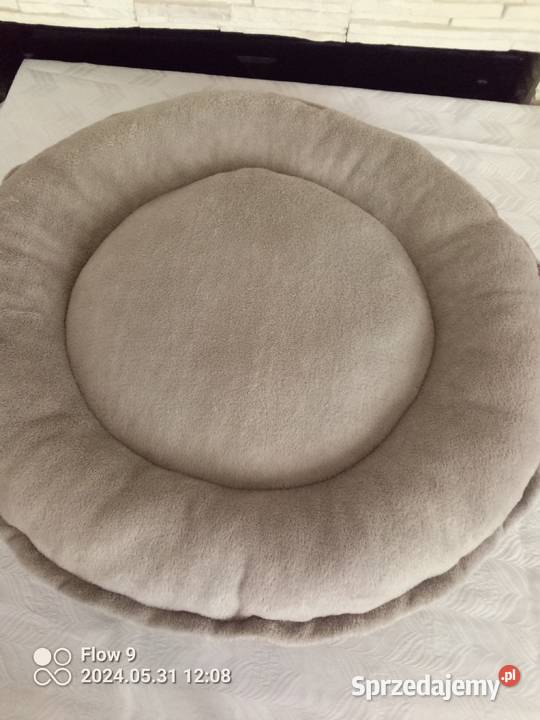 Nowe legowisko pieska kotka