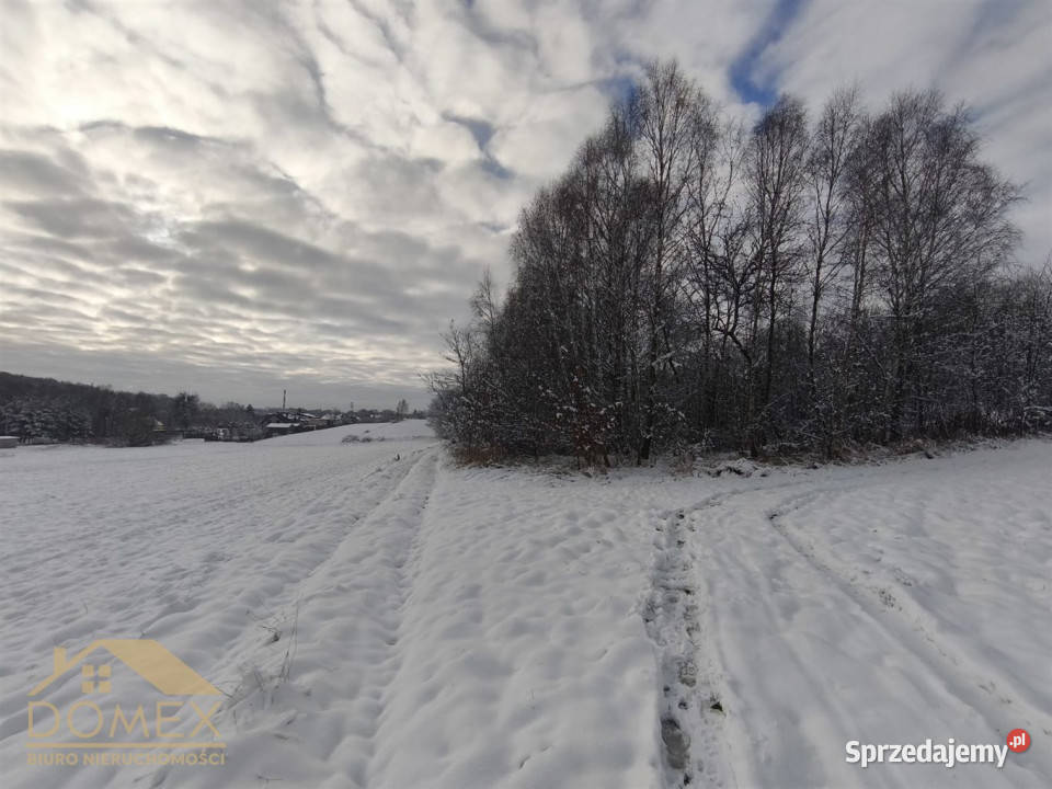 Działka Radlin 3467m2 sprzedam