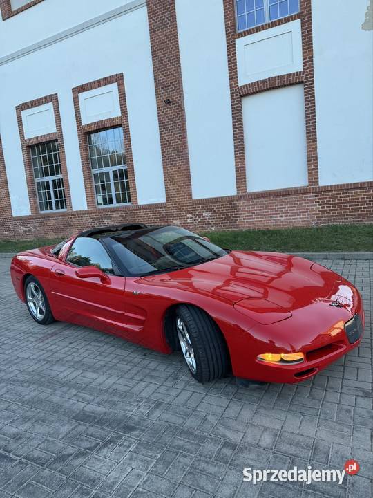 Corvette dolnośląskie