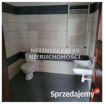 Lokal 43737m2 Strzelin