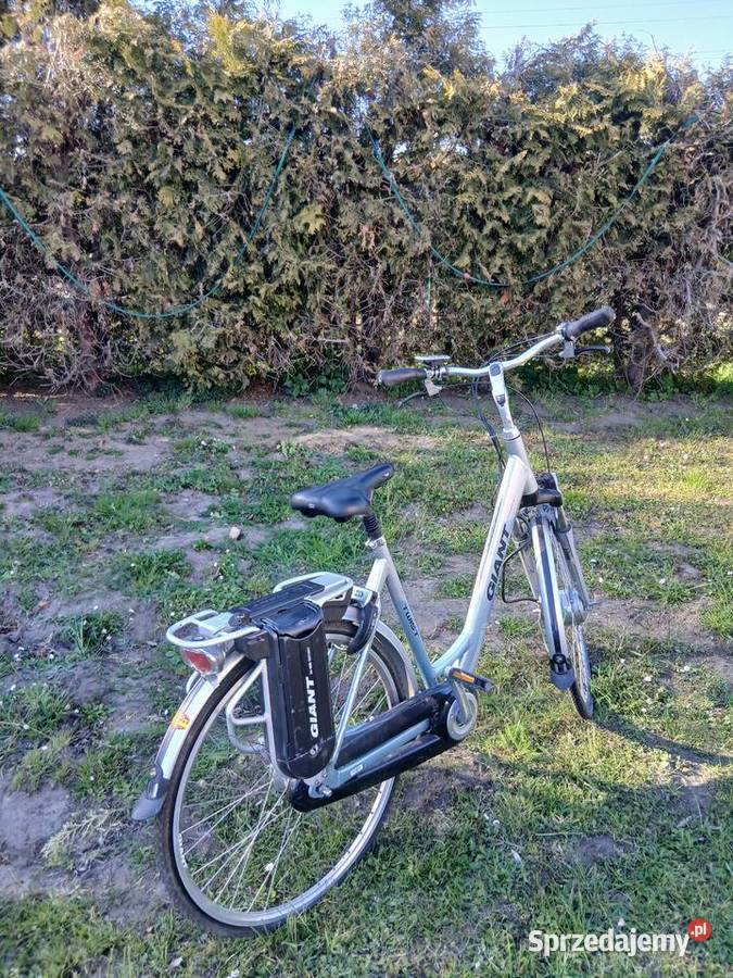 Rower Elektryczny Giant Twist Komfort i Gdańsk