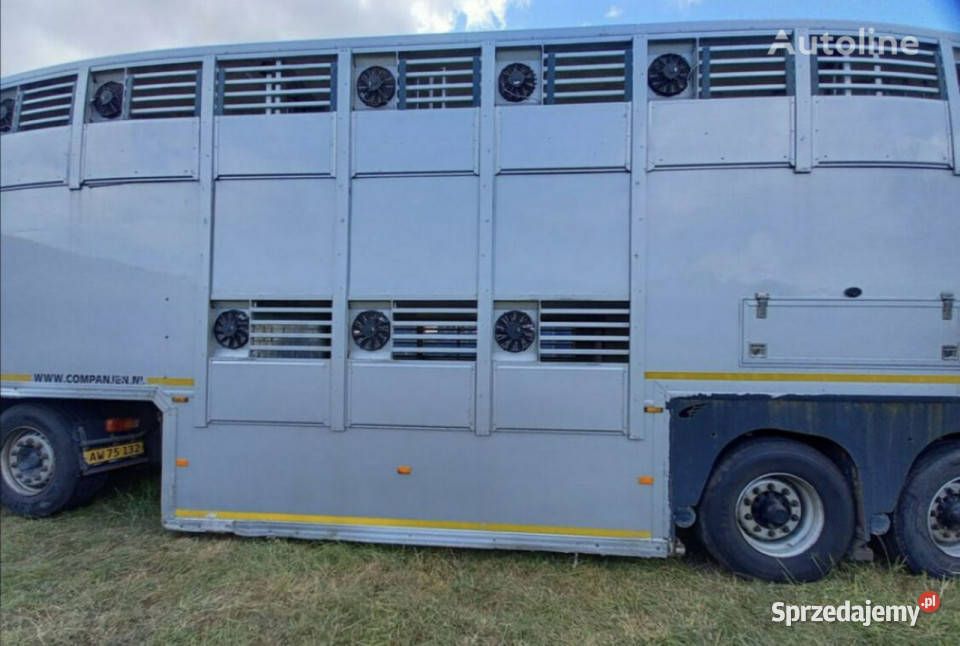 do przewozu zwierząt GrayAdams GADD3 Gray Adams Pozostałe Łaziska Górne