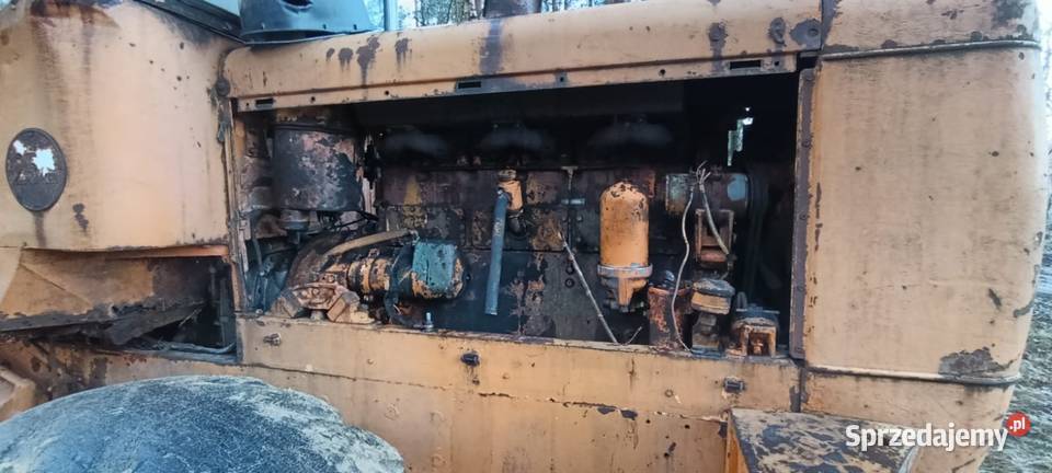 Ładowarka kołowa hanomag Koła Chełst