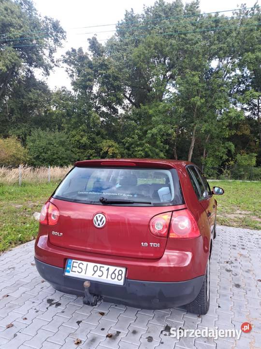 Sprzedam Volkswagena Golfa 5 19 TDI Aleksandrów Łódzki