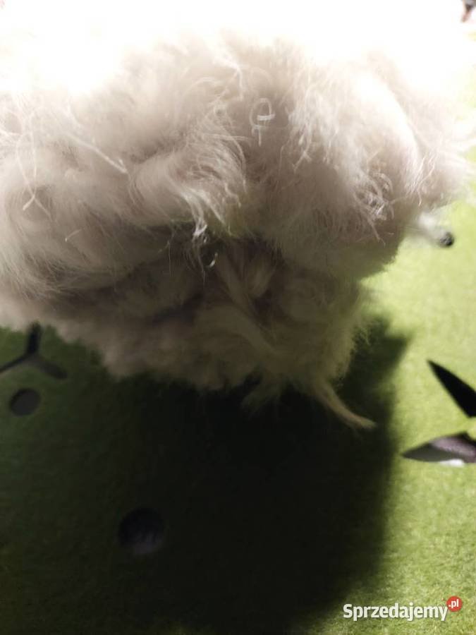 Białe rękawiczki ocieplane skórzane Nowe Wrocław sprzedam