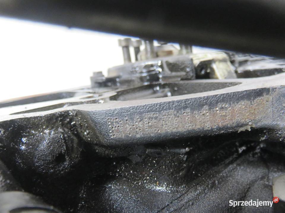 SILNIK SEAT LEON II 19 TDI 105 BXE 038130073AG