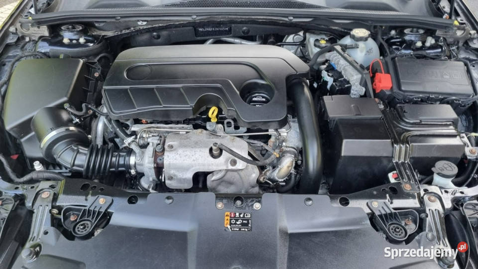 Opel Insignia Automat Navi Kamera Serwis Sedan / Limuzyna Płońsk